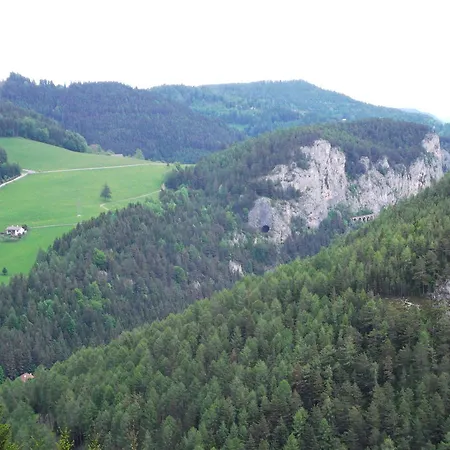 Apartment Daheim Semmering